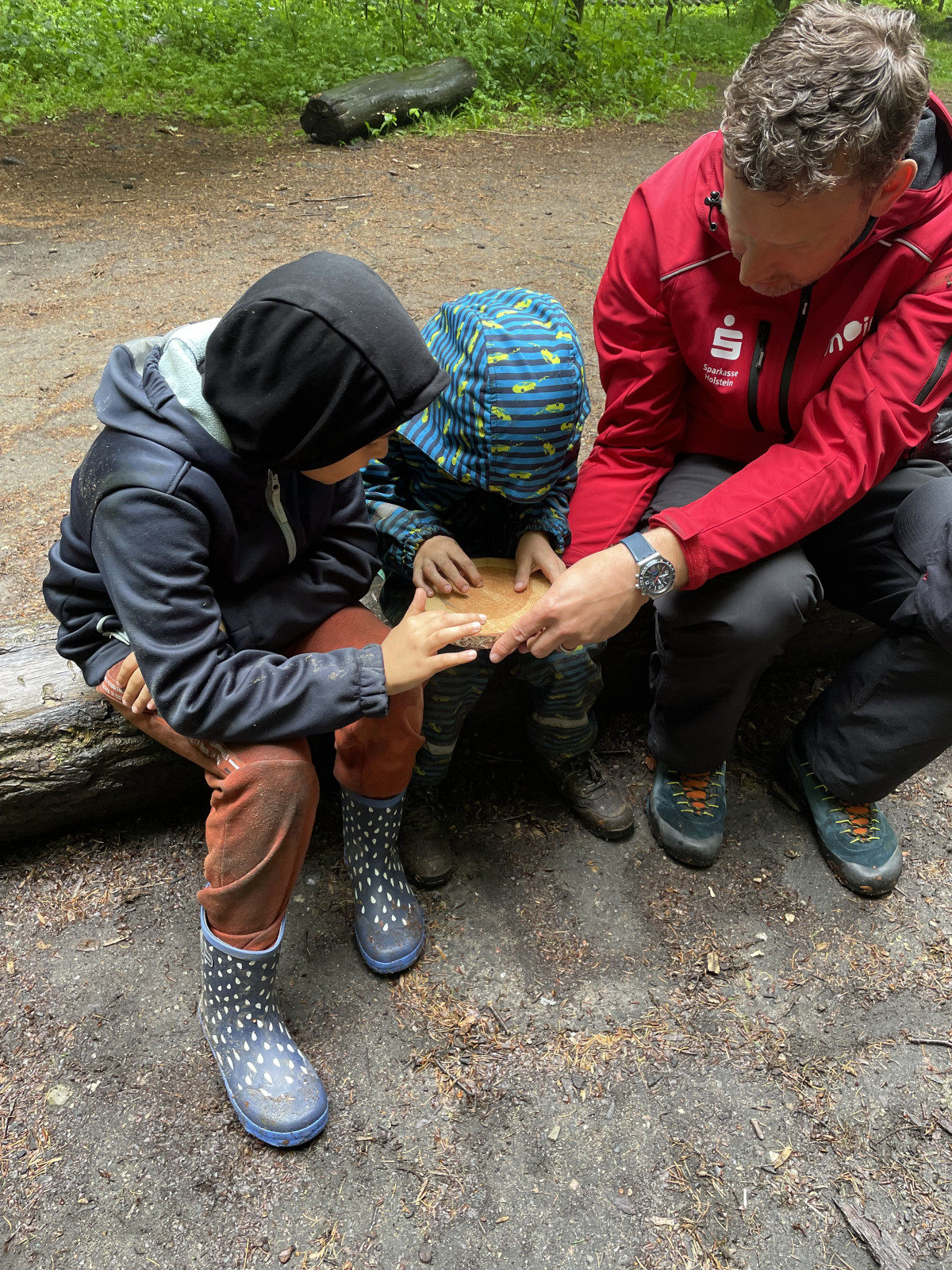Bild 15
