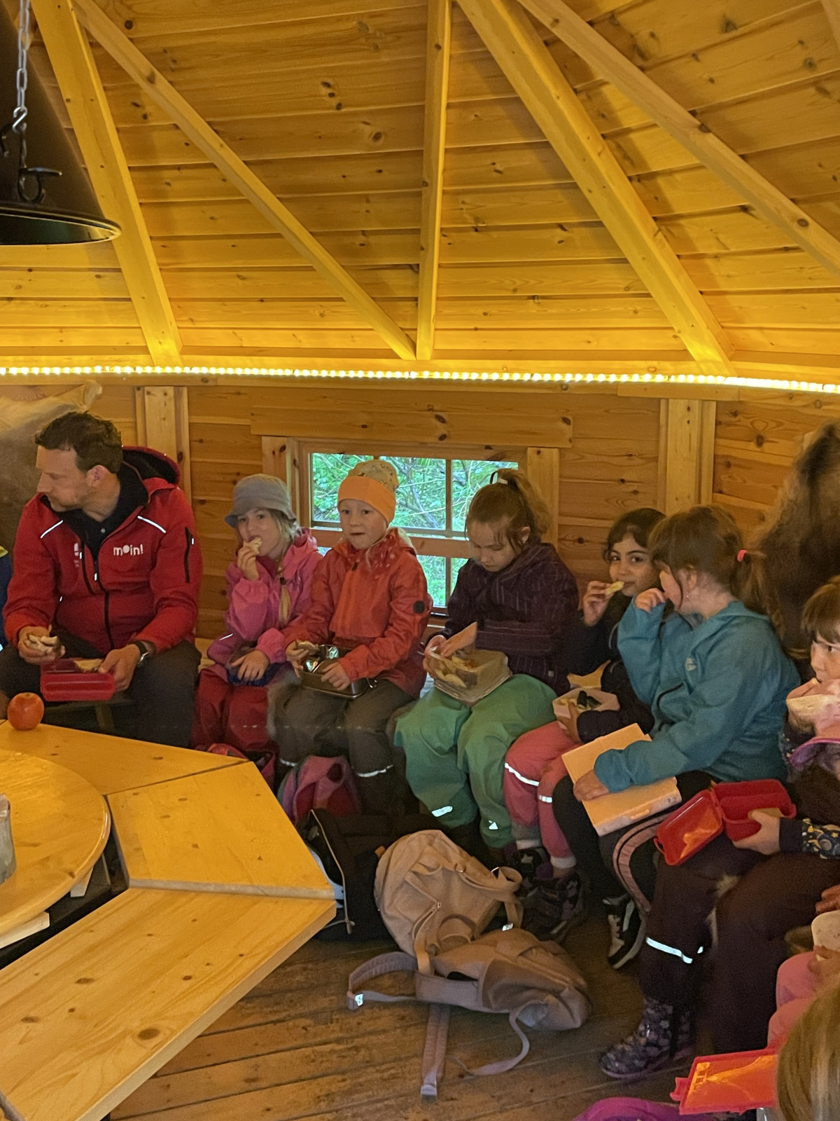 Bild 5