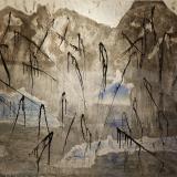 Antarktis cut