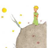 Der kleine Prinz 03